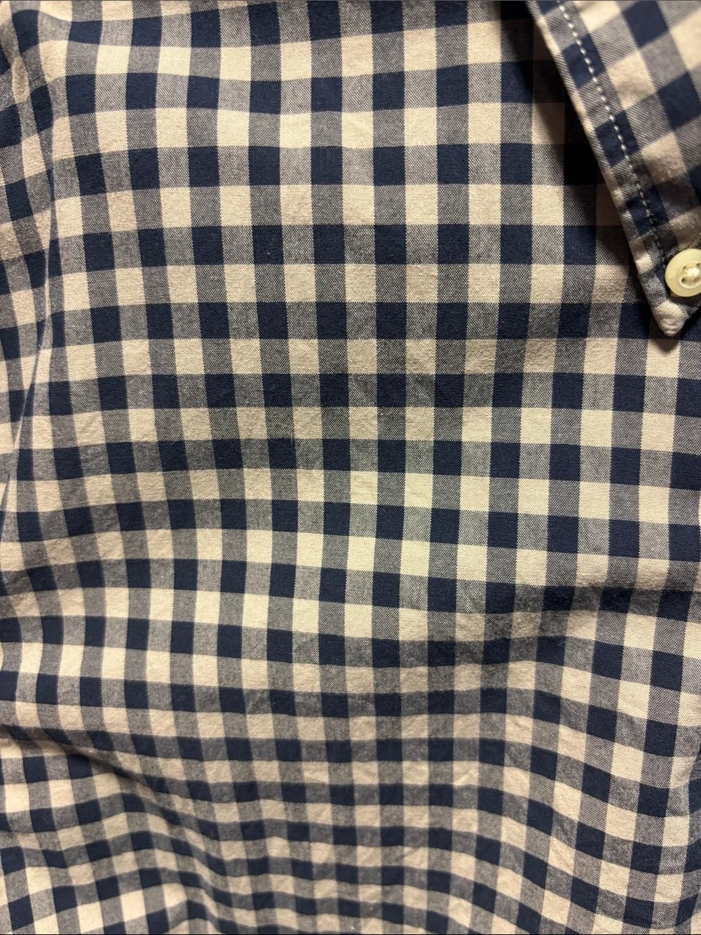 Banana Republic Navy and White Gingham Button-Down Shirt